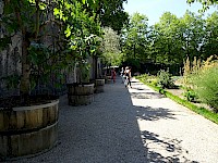 Bilder Vereinsreise Château de Prangins Genfersee 2022